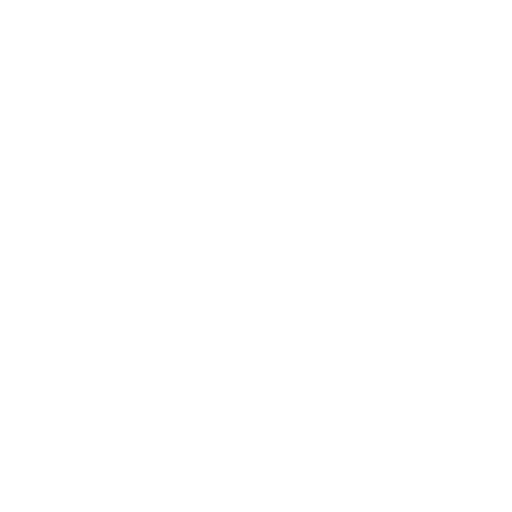 Auto Insurance icon